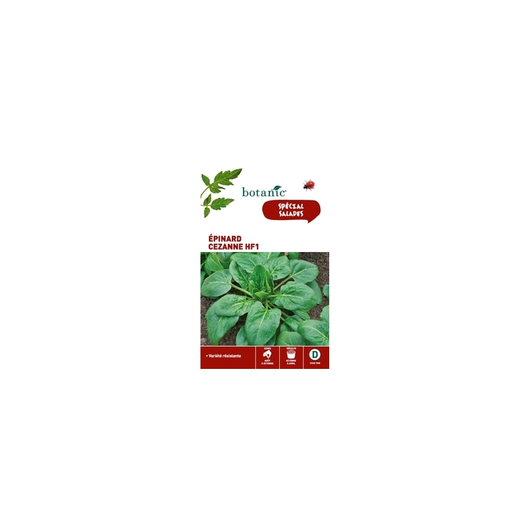 Épinard Cézanne HF1 x2 sachets