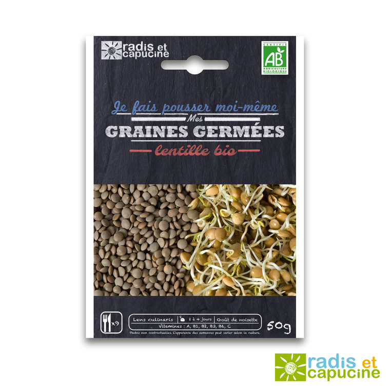 Graines à germer Lentille Bio
