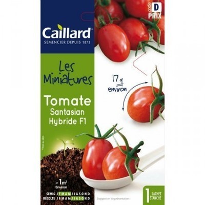 Graines mini Tomates