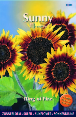 Soleil-Tournesol - Ring Of Fire