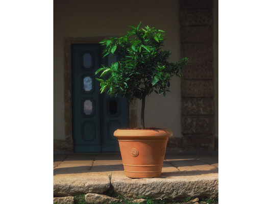 Pot Rosonne - Ø 60 x H 48 cm