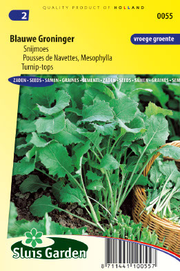 Mesophylla Blauwe Groninger