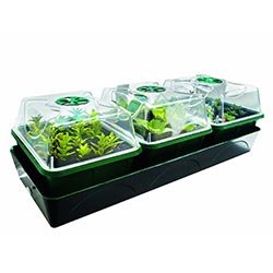 Mini serre chauffante 3 bacs HOLLANDIA