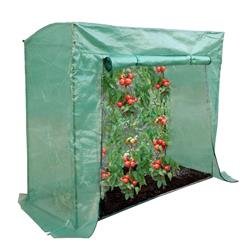 Serre tomate Jupiter 200x77x169 155cm