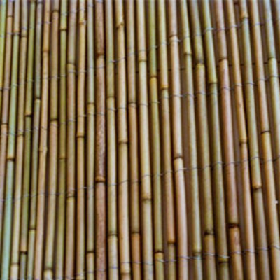 Canisse en bambou entier     Largeur 3 m   Hauteur 1.80 m