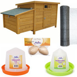 Kit complet poulailler Höna