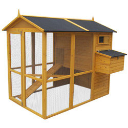 Poulailler Chicken duplex