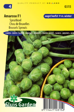 Chou de Bruxelles Amaroso F1