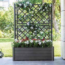 Bac à fleurs ITALIA Rectangulaire avec treillage anthracite
