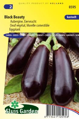Aubergine, Morelle comestible Black Beauty