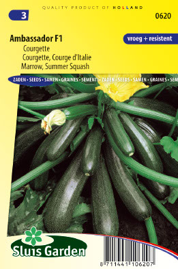 Courge d'Italie Ambassador F1
