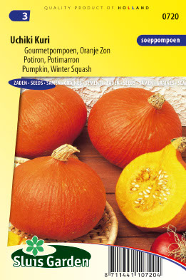Potiron / Potimarron Uchiki Kuri (soupe)