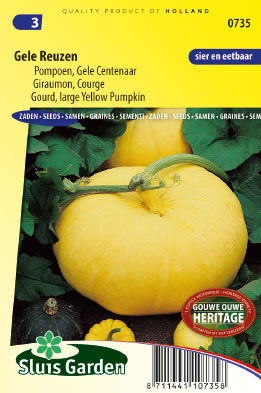 Potiron / Giraumon Gele Reuzen