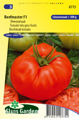 Tomate beefsteak Beefmaster VFN F1