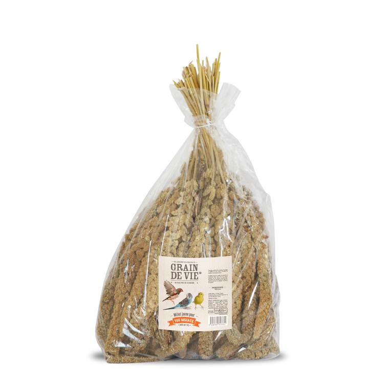 Millet jaune français pour oiseaux Grain de Vie - 1 kg