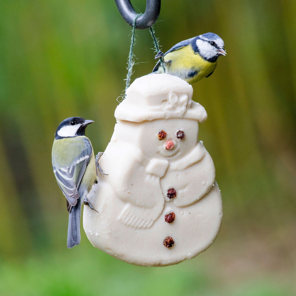 Schneemann