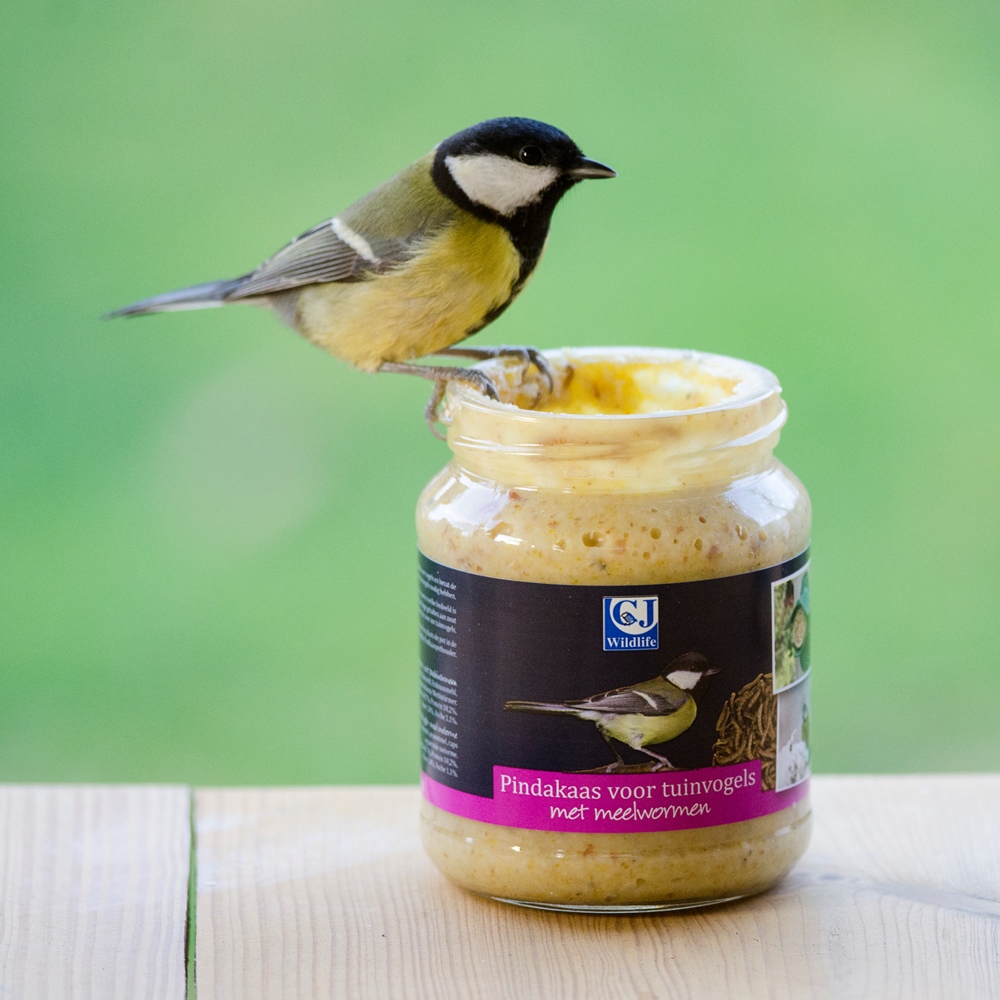 Beurre de cacahuètes pour oiseaux du jardin - avec vers de farine
