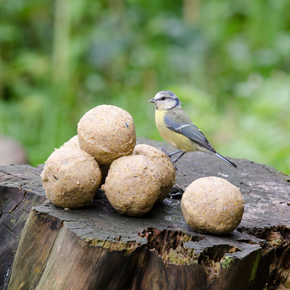 Boules de graisse pure avec cacahuètes - 6 pièces