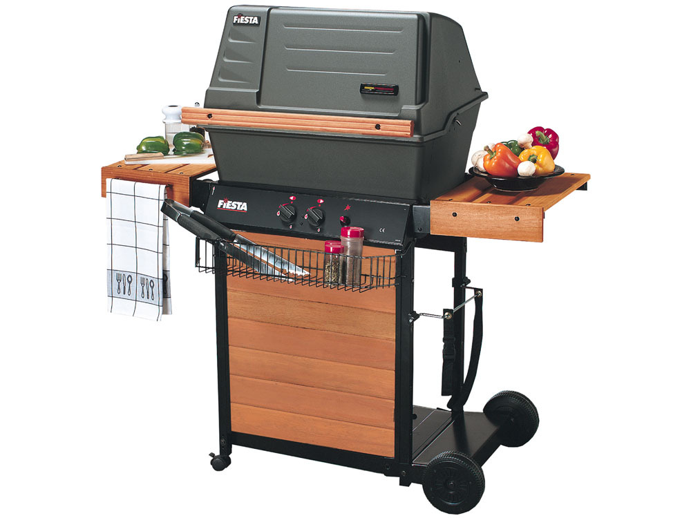 Barbecue gaz Rosetown - 2 brûleurs - 12kW
