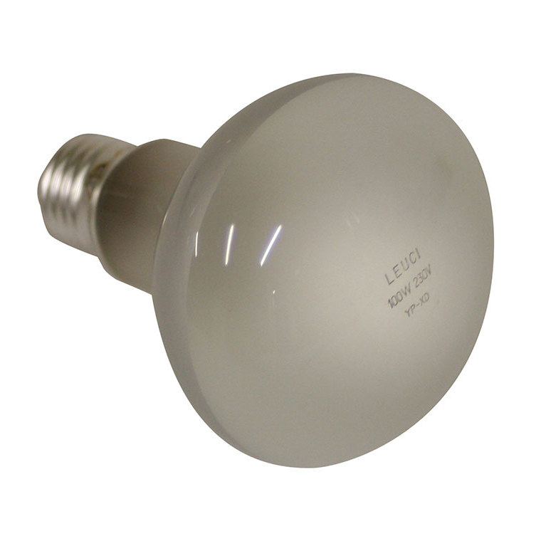 Lampe blanche pour réflecteur REFLECT CIP 100 W