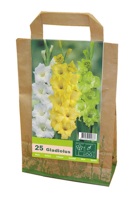 Glaïeuls en mélange (Gr. Sac)