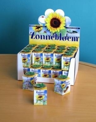 Greengift, Tournesol 40 pcs en Showbox