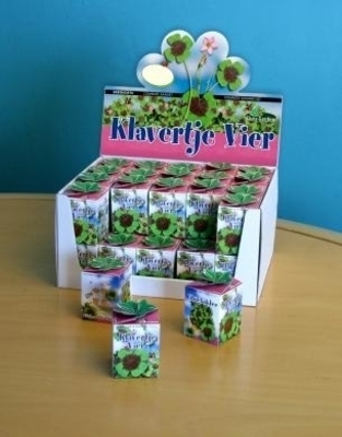 Greengift, Trefle a quattre feuilles 40 pcs en showbox
