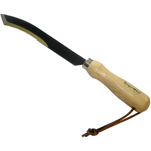 Couteau d'asperge avec Manche en Carbone - Burgon et Ball