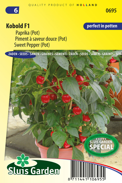 Poivron pot Kobold F1 PATIO