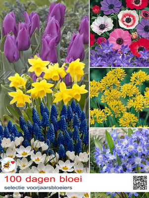 100 Jours Floraison