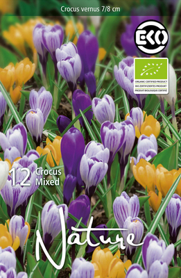 Crocus botaniques en mélange (Bulbes Biologiques)