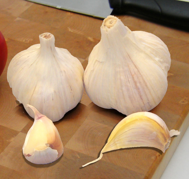 Ail cultivÃ© (allium sativum)