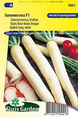 Radis rave blanc longue Minowase Summercross F1 (Raphanus Sativus)