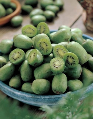 Kiwi dété (actinidia arguta)