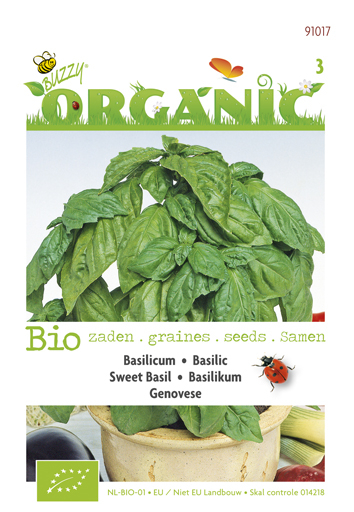 Bio basilicum Genovese