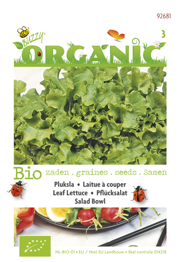 Bio Laitue Salad Bowl