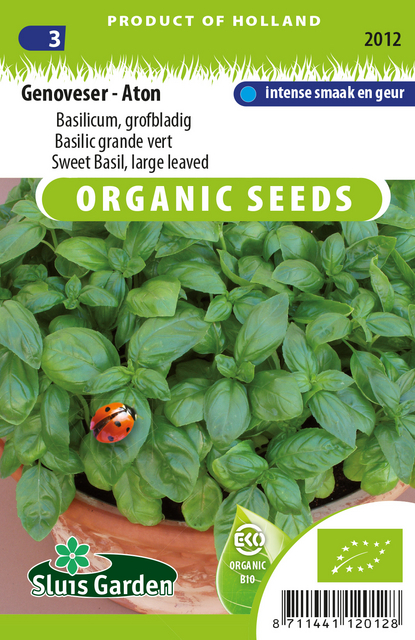 Basil grand vert. Genoveser - Aton EKO