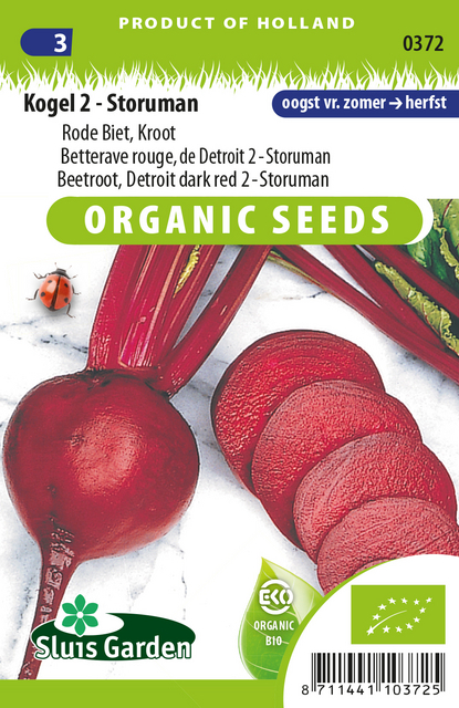 Betterave rouge Kogel 2 Storuman EKO