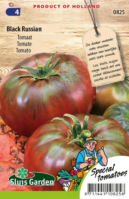 Tomate Black Russian