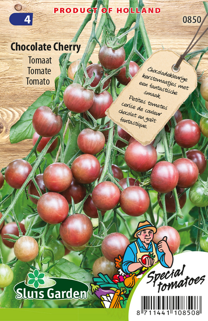 Tomate Chocolade Cherry