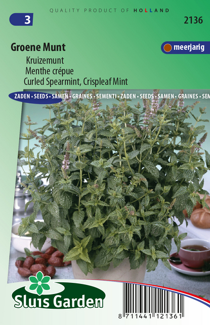 Menthe crÃ©pue