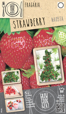 Fraises Raosta