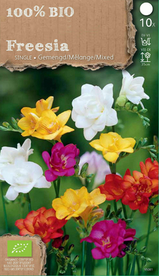 Bulbes Biologiques: Freesias doubles en mélange
