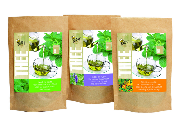 Grow Bag Menthe Marocain ThÃ©