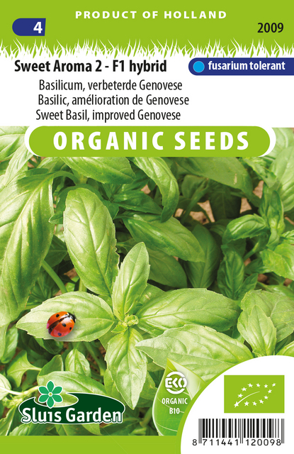 Basilic, amÃ©lioration de Genovese, Sweet Aroma 2 - F1 hybrid EKO