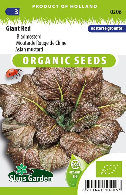 Moutarde rouge de Chine Red Giant EKO