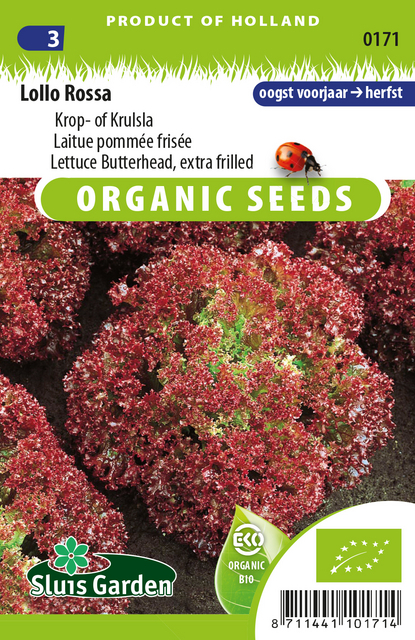 Laitue pommÃ©e frisÃ©e Lollo Rossa EKO