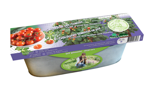 Kit Tomate Siderno F1 (pot)