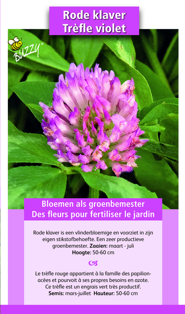 Fumage ou d'engrais vert TrÃ¨fle violet / 150 gr - 60 m2