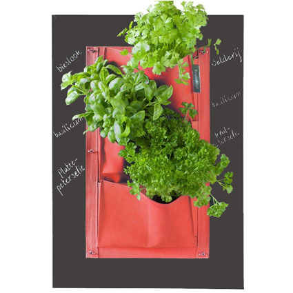 Ardoise pour herbes Rouge